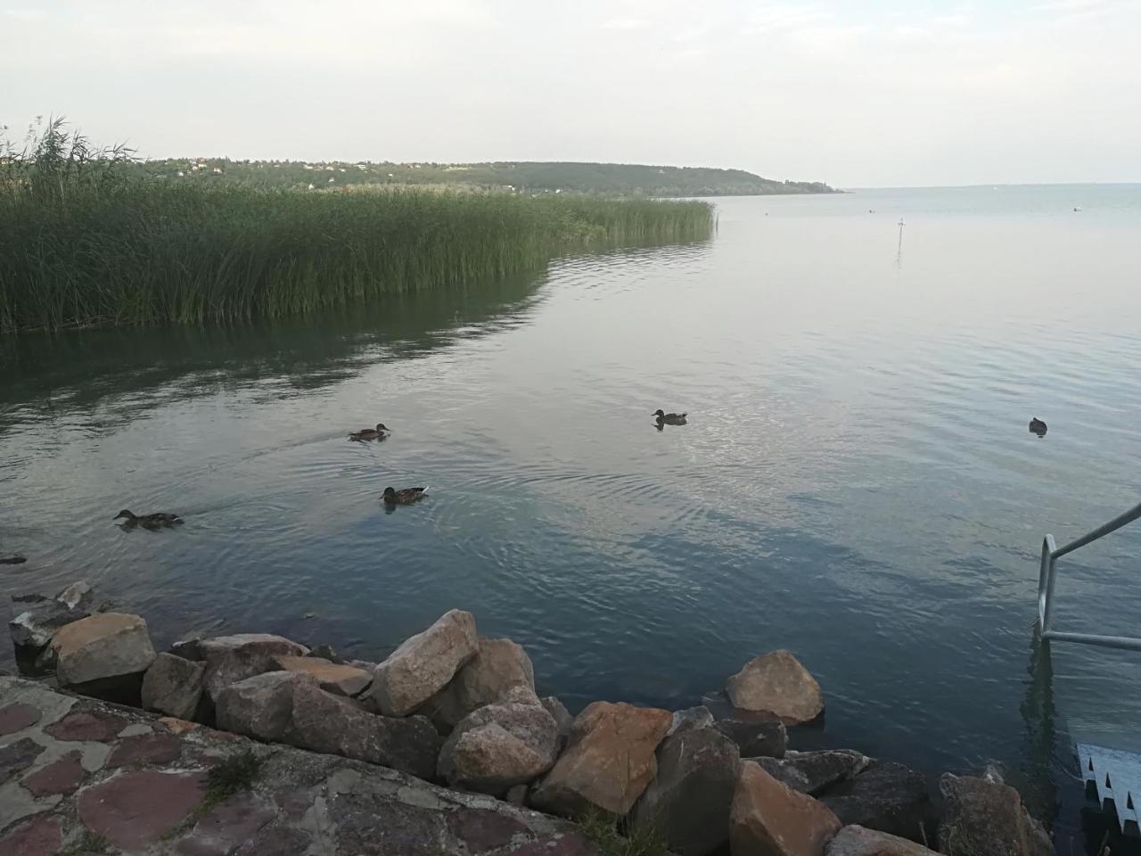 Betty Apartman Balatonfůzfő Buitenkant foto